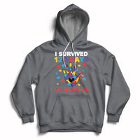 Charcoal pullover hoodie with colorful puzzle heart graphic and “I Survived 120 Days of School” text