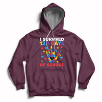 Maroon pullover hoodie with colorful puzzle heart graphic and “I Survived 120 Days of School” text