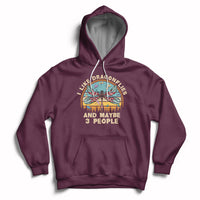 Vintage Funny I Like Dragonflies And Maybe 3 People Hoodie - Wonder Print Shop