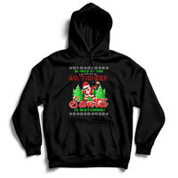 Be Nice To The Auctioneer Santa Is Watching Hoodie - Wonder Print Shop