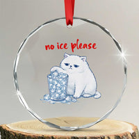Abolish Ice Protest Crystal Glass Ornament Subtle FDT Cat Meme No Ice Please