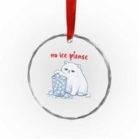 Abolish Ice Protest Crystal Glass Ornament Subtle FDT Cat Meme No Ice Please