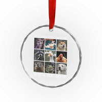 Animals Smoking Cigarettes Meme Crystal Glass Ornament It Looks Just as Cool When You Do It - Wonder Print Shop
