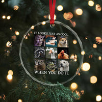 Animals Smoking Cigarettes Meme Crystal Glass Ornament It Looks Just as Cool When You Do It - Wonder Print Shop