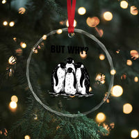 But Why Penguin Crystal Glass Ornament Funny Nihilist Hiking