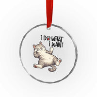 Cat Lover Crystal Glass Ornament Funny I Do What I Want TS12