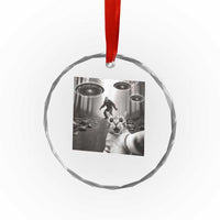 Cat Selfie With Bigfoot UFO Crystal Glass Ornament Funny Cat Lover Gifts TS10