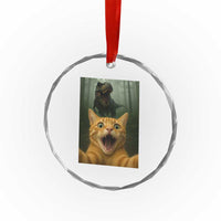 Cat Selfie With Dinosaur Crystal Glass Ornament Funny Cat Gifts - Wonder Print Shop