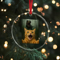 Cat Selfie With Dinosaur Crystal Glass Ornament Funny Cat Gifts - Wonder Print Shop