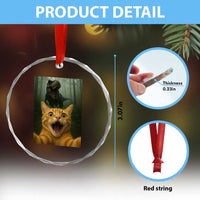 Cat Selfie With Dinosaur Crystal Glass Ornament Funny Cat Gifts - Wonder Print Shop