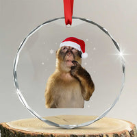 Christmas Thinking Monkey Meme Humor Brainrot Crystal Glass Ornament TS11