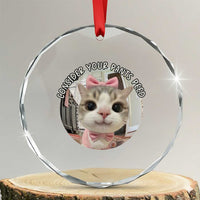 Consider Your Pants Peed Crystal Glass Ornament Funny Cat Meme Saying TS12