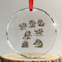 Cute Jimothy The Raccoon Crystal Glass Ornament Viral Seattle Wildlife Trash Panda Gift