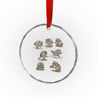 Cute Jimothy The Raccoon Crystal Glass Ornament Viral Seattle Wildlife Trash Panda Gift