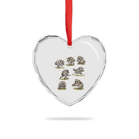 Cute Jimothy The Raccoon Heart Crystal Glass Ornament Viral Seattle Wildlife Trash Panda Gift