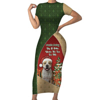 Merry Pitmas Family Matching Short Sleeve Bodycon Dress and Hawaiian Shirt Santa Baby Slip A Pittie Under The Tree For Me - Wonder Print Shop