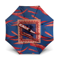 Italy Calabria Umbrella Piccantino Vintage Style