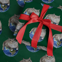 Earth Cat Silly Cat Meme Wrapping Paper Roll