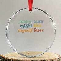 Feeling Cute Might Shit Myself Later Crystal Glass Ornament Funny Newborn Gift TS10