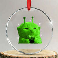 Funny Alien Cat Meme Crystal Glass Ornament Funny Kitten 90s Retro Vintage Graphic Weird Cats Y2k - Wonder Print Shop