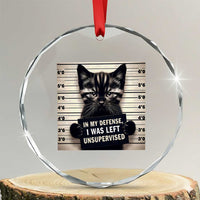 Funny Bad Cat Attitude Crystal Glass Ornament In My Defense I Was Left Unsupervised