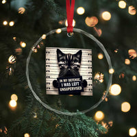 Funny Bad Cat Attitude Crystal Glass Ornament In My Defense I Was Left Unsupervised
