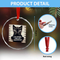 Funny Bad Cat Attitude Crystal Glass Ornament In My Defense I Was Left Unsupervised