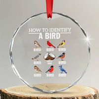 Funny Bird Watching Crystal Glass Ornament How To Identify A Bird TS02