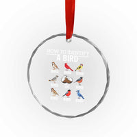 Funny Bird Watching Crystal Glass Ornament How To Identify A Bird TS02