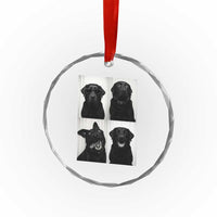 Funny Black Lab Crystal Glass Ornament Photobooth Selfie Dog Mom Gift TS12