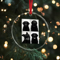 Funny Black Lab Crystal Glass Ornament Photobooth Selfie Dog Mom Gift TS12