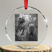 Funny Capybara Selfie With Dinosaur Meme Crystal Glass Ornament Animal Humor Gift TS12