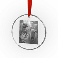 Funny Capybara Selfie With Dinosaur Meme Crystal Glass Ornament Animal Humor Gift TS12