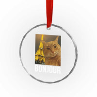 Funny Cat Bonjour Crystal Glass Ornament Paris France Eiffel Tower Orange Cat Meme - Wonder Print Shop