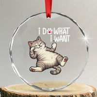 Funny Cat Crystal Glass Ornament I Do What I Want TS12