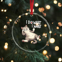 Funny Cat Crystal Glass Ornament I Do What I Want TS12