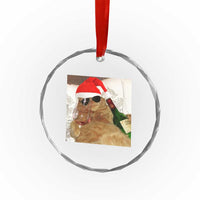 Funny Cat Drinking Wine Christmas Crystal Glass Ornament TS14