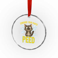 Funny Cat Lover Crystal Glass Ornament Consider Your Pants Peed Quote TS12