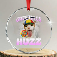 Funny Cat Meme Crystal Glass Ornament Greetings Huzz TS14