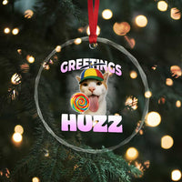 Funny Cat Meme Crystal Glass Ornament Greetings Huzz TS14