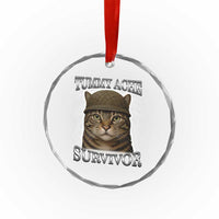Funny Cat Meme Humor Crystal Glass Ornament Tummy Ache Survivor Lightning Cats Parody TS02