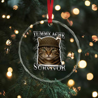 Funny Cat Meme Humor Crystal Glass Ornament Tummy Ache Survivor Lightning Cats Parody TS02