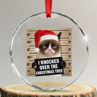 Funny Cat Mugshot Christmas Crystal Glass Ornament I Will Protect You Kitten No Matter What - Wonder Print Shop