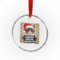 Funny Cat Mugshot Christmas Crystal Glass Ornament I Will Protect You Kitten No Matter What TS14