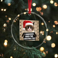 Funny Cat Mugshot Christmas Crystal Glass Ornament I Will Protect You Kitten No Matter What TS14