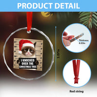 Funny Cat Mugshot Christmas Crystal Glass Ornament I Will Protect You Kitten No Matter What TS14