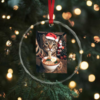 Funny Cat Ramen Selfie With Santa Christmas Crystal Glass Ornament TS14