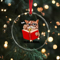 Funny Cat Reading Crystal Glass Ornament Book Lover - Wonder Print Shop