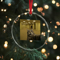 Funny Cat Selfie with Bigfoot Sasquatch Backrooms Liminal Space Meme Crystal Glass Ornament