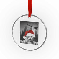Funny Cat Selfie With Santas Sleigh Christmas Crystal Glass Ornament - Wonder Print Shop